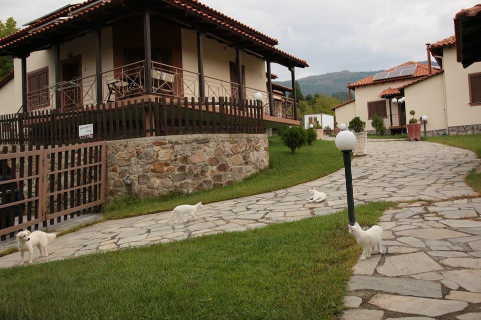 Karyon Apartments Kariofiton Bagian luar foto