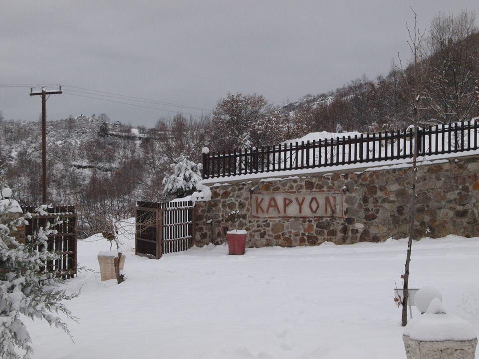 Karyon Apartments Kariofiton Bagian luar foto